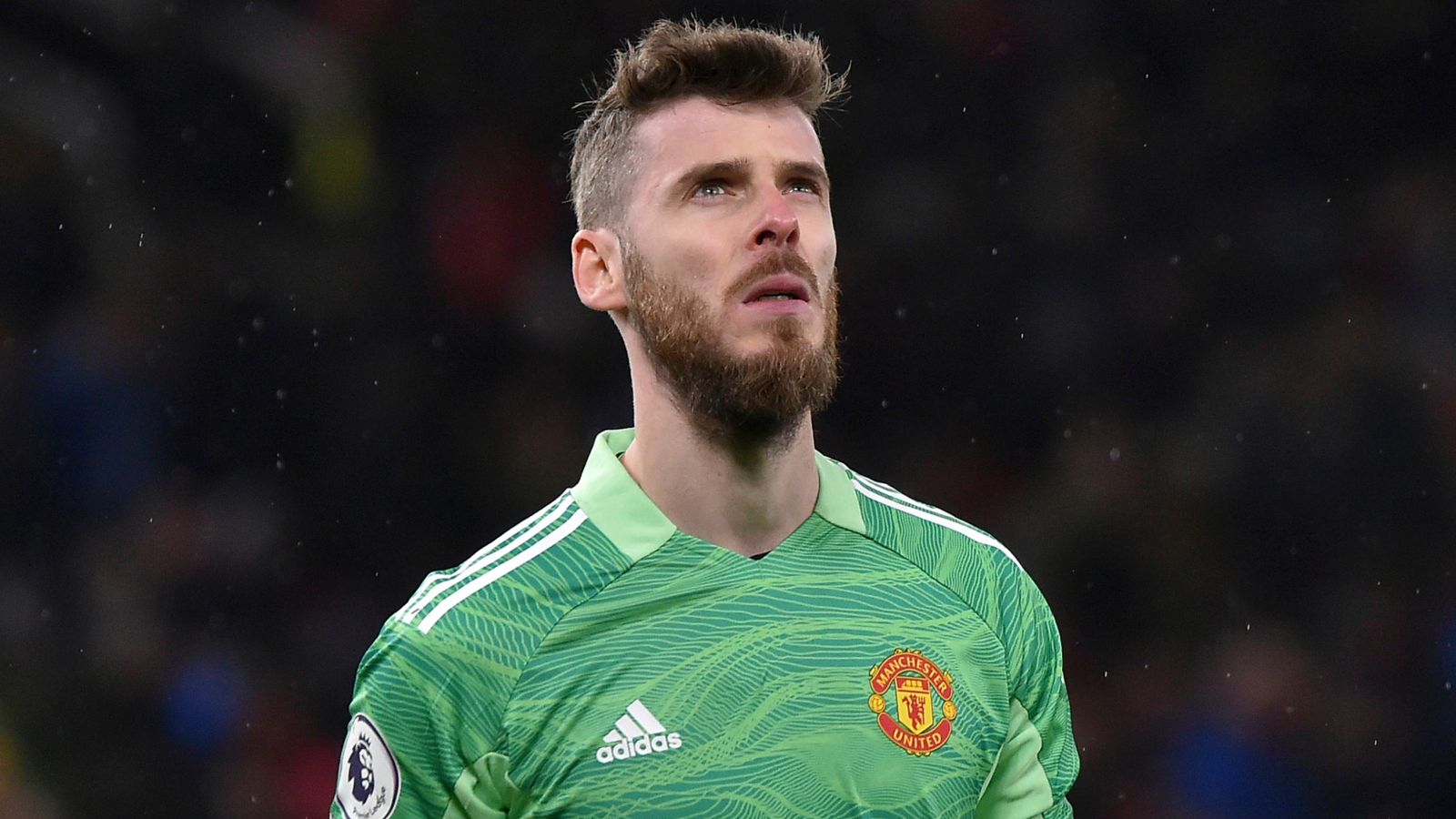 Daftar Kiper Terbaik Liga Inggris Sepanjang Masa